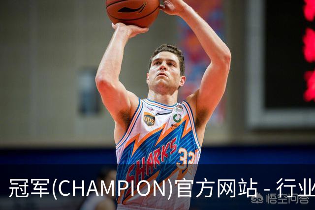 冠军(CHAMPION)官方网站 - 行业领先的体育数据平公司介绍